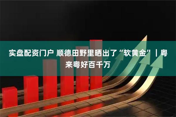 实盘配资门户 顺德田野里晒出了“软黄金”｜粤来粤好百千万